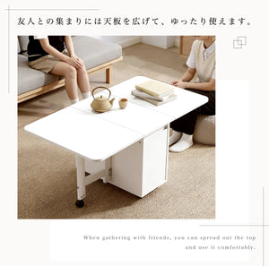 テーブル センターテーブル 折りたたみ ローテーブル 折りたたみテーブル 収納付 リビングテーブル 応接テーブル 木製 収納 リビング