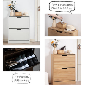 下駄箱 2段 2層 シューズラック 玄関収納 ひとり暮らし スリムタイプ 靴収納棚 安定