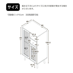 キャビネット サイドボード チェストラタン調 ラタン風 幅60cm 収納棚 リビングボード ローボード 収納チェスト2段 引き出し 扉付き 洋服 ナチュラル