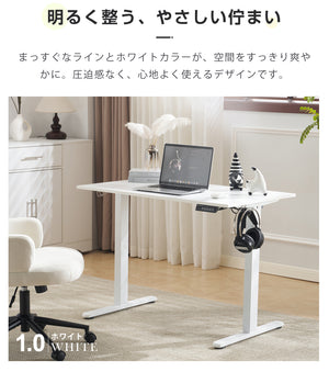 2台セット 電動昇降デスク スタンディングデスク 幅100cm昇降デスク 昇降式テーブル 昇降式デスク 高さ調整 リモートワーク 在宅 テレワーク グレー