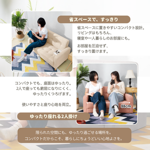ソファー リビングソファ 2人掛け 脚取り外し 肘付き お掃除ロボット対応 幅103cm 耐荷重150kg Sバネ 天然木脚 8色展開 ファブリック PUレザー