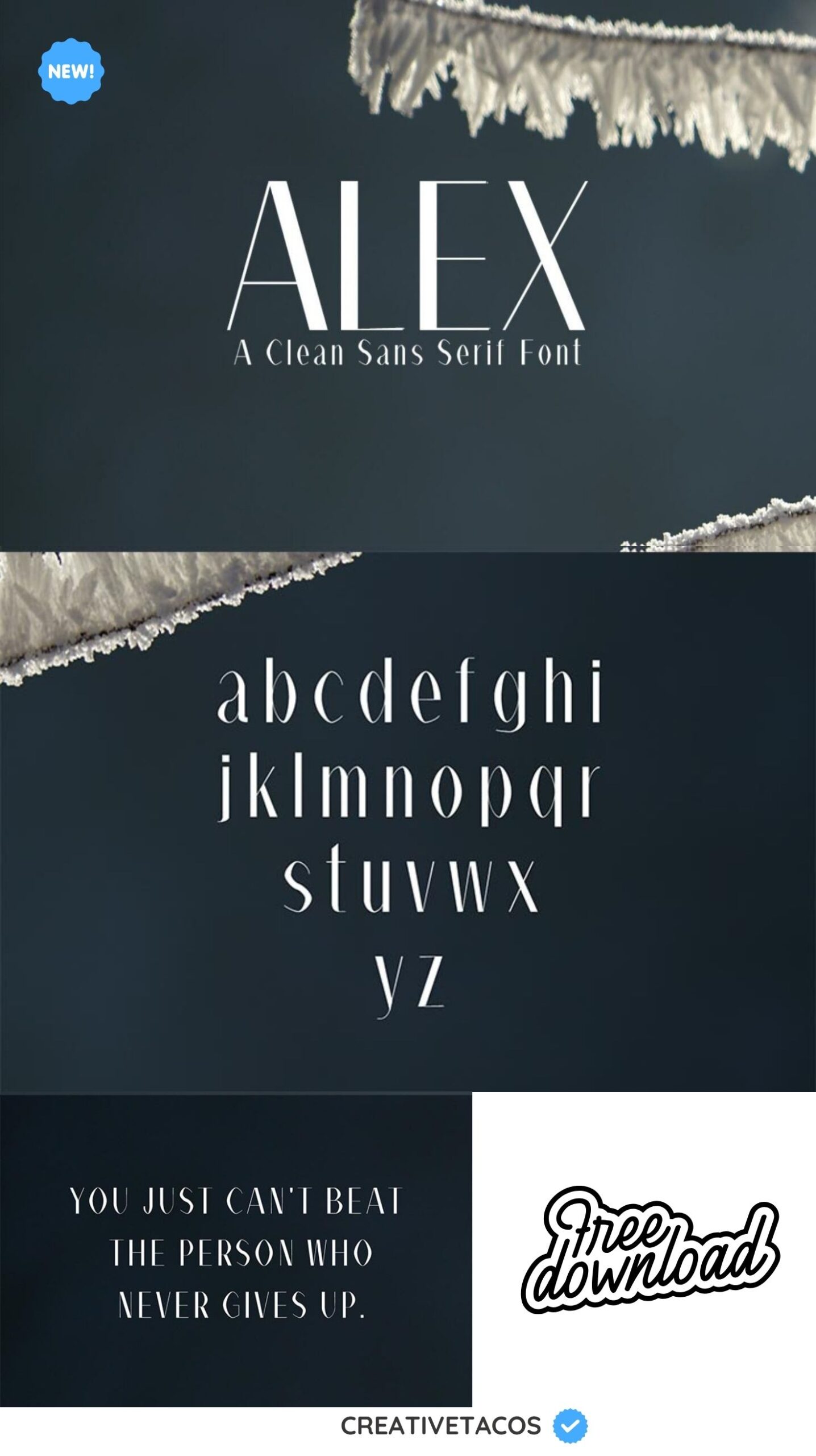 "Poster showcasing 'Alex,' a clean sans serif font. Features uppercase and lowercase alphabet on a dark background. Tagline: 'You just can't beat the person who never gives up.' Includes 'Free download' label and CreativeTacos logo."